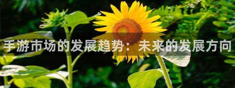 28大神怎么找不到了：手游市场的发展趋势：未来的发展方向