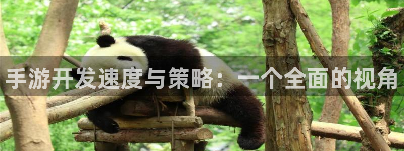 28大神预测：手游开发速度与策略：一个全面的视角