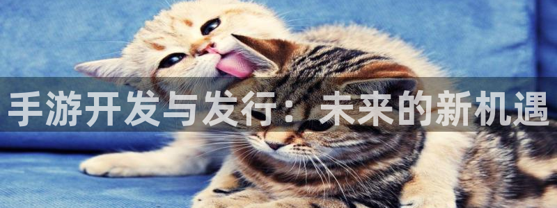 火狐电竞云集预测结果：手游开发与发行：未来的新机遇