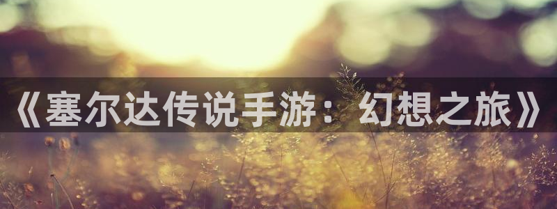 28大神零一预测：《塞尔达传说手游：幻想之旅》