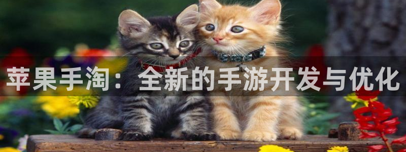 大神网pc28：苹果手淘：全新的手游开发与优化